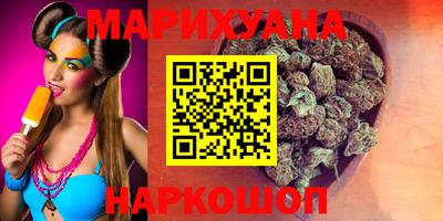 крисы Нальчик