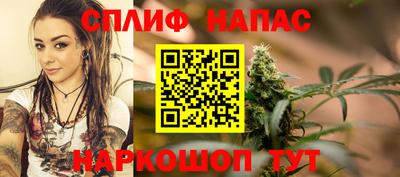 крисы Нальчик