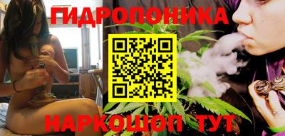 крисы Нальчик